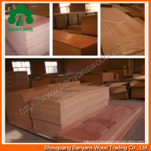 High Quality Veneered Door Nature Wood Skin Door